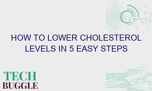 how to lower cholesterol levels in 5 easy steps 42662 1 - How to Lower Cholesterol Levels in 5 Easy Steps