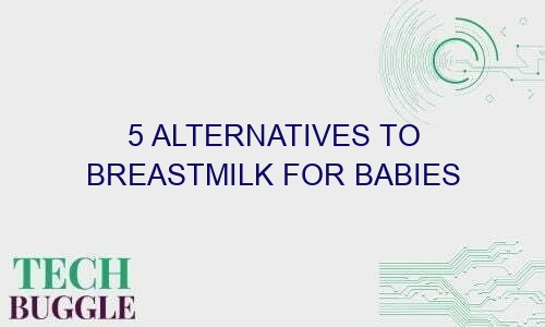 5 alternatives to breastmilk for babies 54041 1 - 5 Alternatives To Breastmilk For Babies