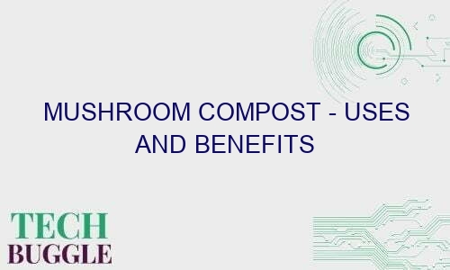 mushroom compost uses and benefits 65055 1 - Mushroom Compost - uses and benefits