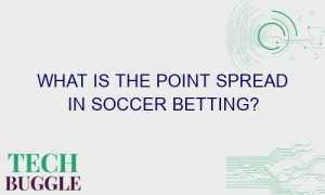 what is the point spread in soccer betting 48519 1 300x180 - What is the point spread in soccer betting?